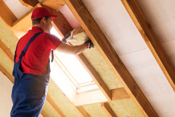 Professional Insulation in West Puente Valley, CA